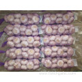 Fresh New Crop Normal White Garlic 5.0cm